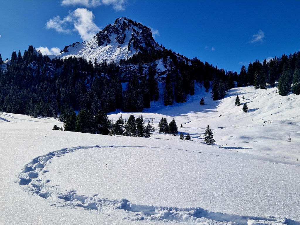 Oberiberg – Freestyle&nbsp;Schneeschuhtour